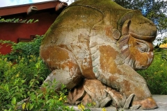 animal-kingdom-38