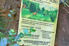 Anleitung zum Tiere beobachten