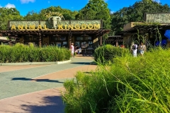 Eingangsportal zu Disney's Animal Kingdom