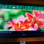 Begrüßung am Fernseher