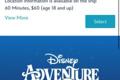 Disney Adventure Activity Prebooking Whisky-and-Karaoke Disney Adventure Activity Prebooking Whisky-and-Karaoke