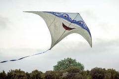 Disney KiteTails Disney KiteTails