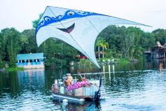 Drachen im Animal Kingdom Drachen im Animal Kingdom