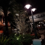 Disney Springs bei Nacht