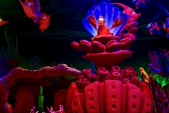 Krabbe Sebastian und einige Fische unter Wasser