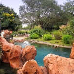 rote Felsen umranden ein Wasserbecken