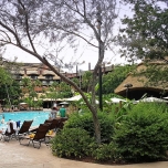 Bäume und Sträucher, dahinter ein Pool
