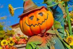 Die Kürbismänner sind die freundlichen Gestalten im Frontierland.