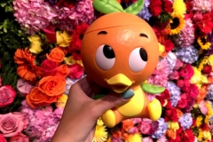 Der Orange Bird Sipper
