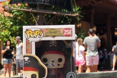 Funko Pop Figur Jolly Roger
