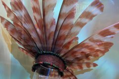 IMG_4882 IMG_4882