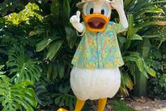 Donald Duck Meet & Greet in Disney's Aulani Donald Duck Meet & Greet in Disney's Aulani