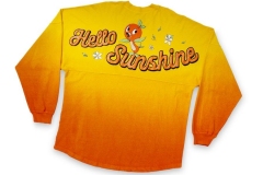 Orange Bird Spirit Jersey