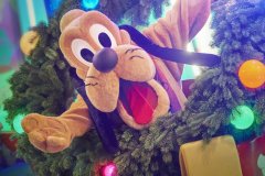 Pluto bei der neuen Weihnachtsparade Pluto bei der neuen Weihnachtsparade