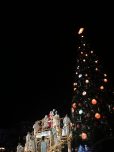 Der Weihnachtsbaum wird beleuchtet Der Weihnachtsbaum wird beleuchtet