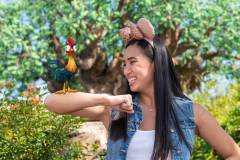 Hei Hei Magic Shot im Animal Kingdom