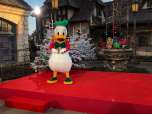 Donald Duck auf dem roten Teppich Donald Duck auf dem roten Teppich