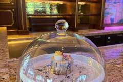 The Regal View Lounge