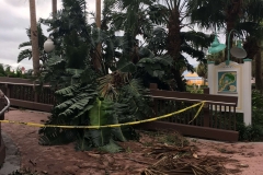 Abgebrochene Palme auf einer Brücke