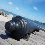 Kanone in St. Augustine