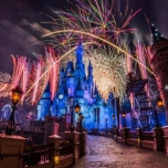 Das Weihachntliche Feuerwerk am Cinderella Castle