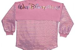 Earidescent Spirit Jersey