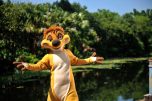 Timon wartet auf Fotos Timon wartet auf Fotos