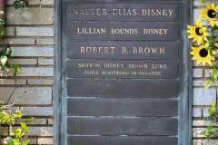 walt-disney-grab-1