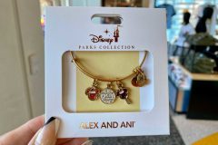 Alex and Ani Christmas Bracelet Alex and Ani Christmas Bracelet