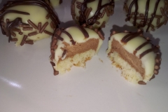 Zebra Domes aufgeschnitten