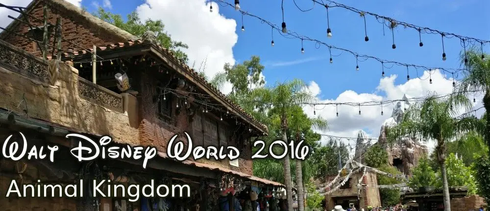 Animal Kingdom Park in Florida