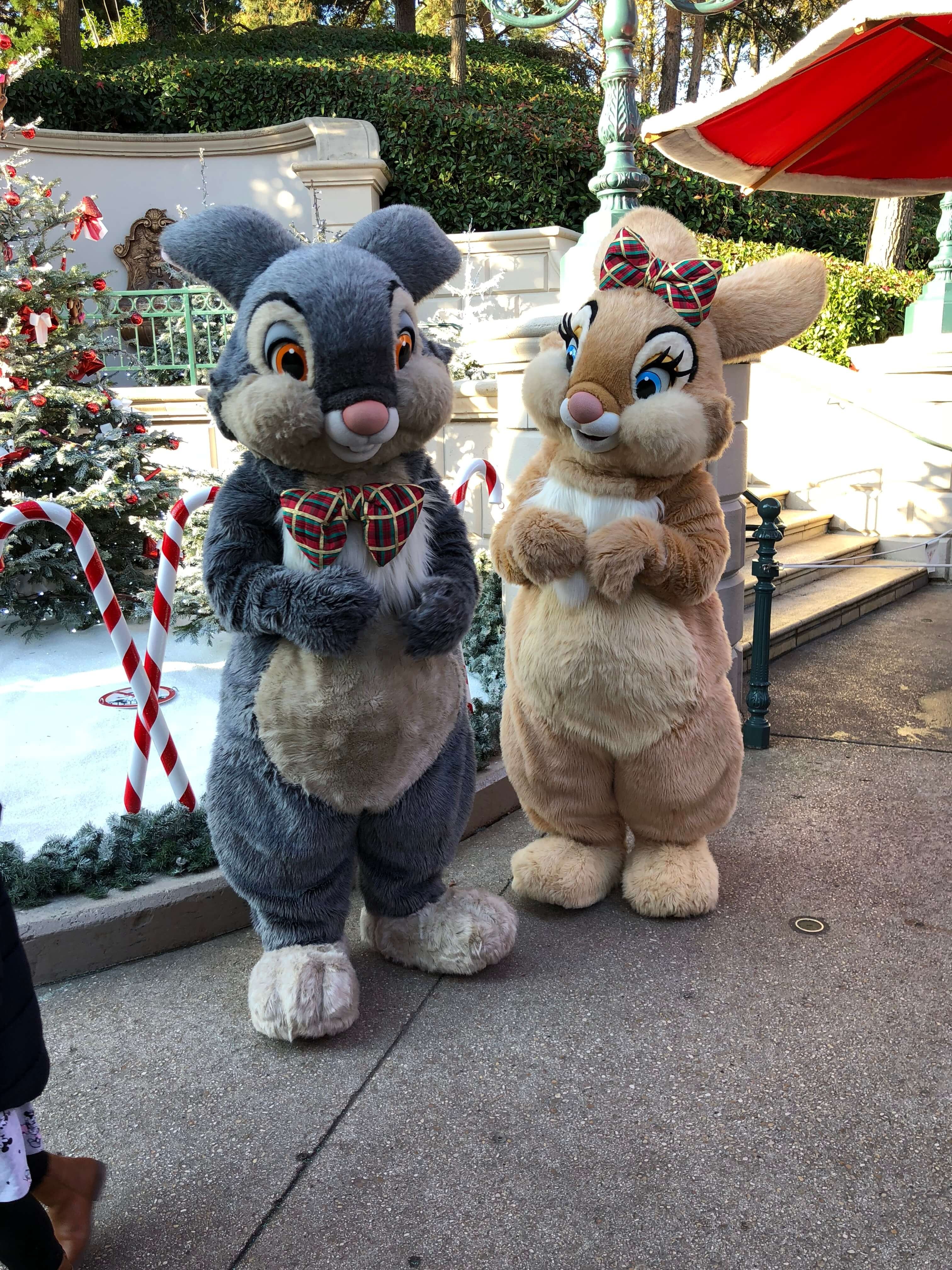 Meet & Greet Klopfer und Miss Bunny