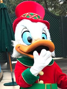 Scrooge McDuck im Disneyland Paris im Weihnachtsoutfit