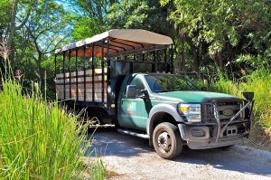 Truck des Wild Africa Trek