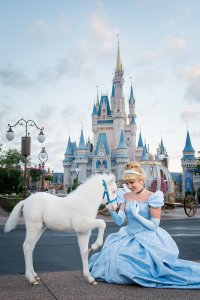 Lilly Shetland Pony Shetland Pony Lilly ist das erste schneeweiße Pony das im Resort geboren wurde