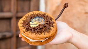 Lion King Vanile Ice Vanilleeis im Kekssandwich passend zum König der Löwen