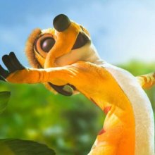 Timon genießt die Sonne