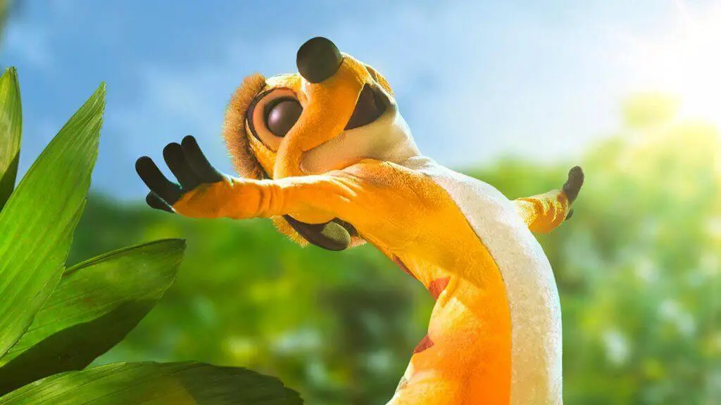 Timon Timon genießt die Sonne