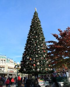 Festlich geschmückter Weihnachtsbaum im Disneyland Park