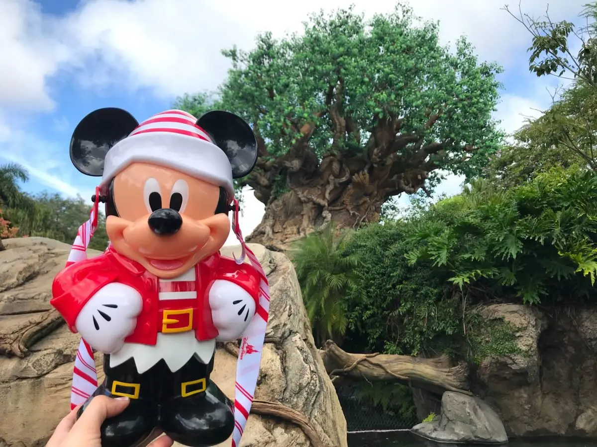 Mickey mouse Popcorneimer ein Elfen Mickey-Popcorneimer wird vor dem Tree of Life in die Höhe gehalten