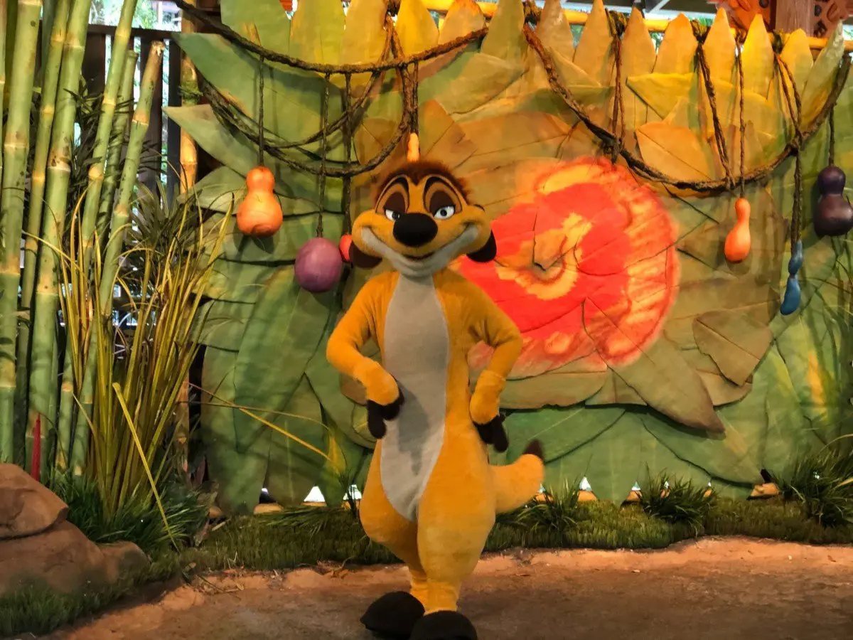Timon Timon in seiner neuen Meet & Greet Location