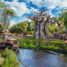 Ein Fahrzeug der Kilimanjaro Safaris fährt durch ein offenes Gelände mit Wildtieren
