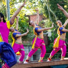 Auf einer Bühne im Animal Kingdom findet eine Aufführung der Bollywood Beats mit mehreren bunt gekleideten Tänzerinnen und Tänzern statt