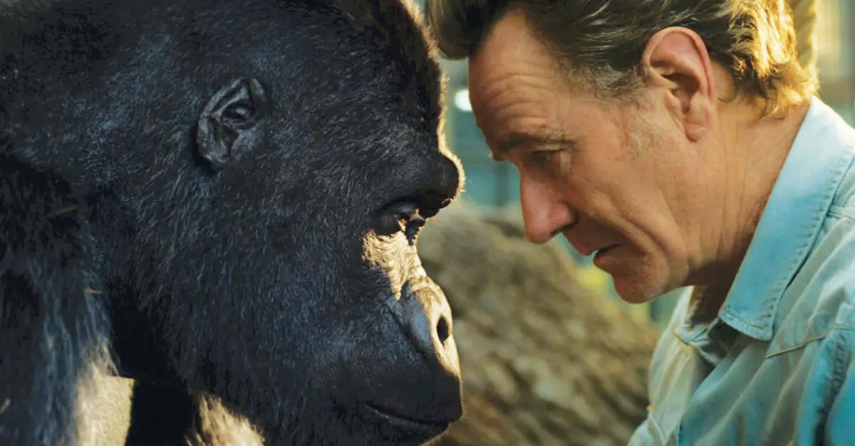 Auge in Auge mit einem Gorilla Bild von Zirkusdirektor Mack und dem Gorilla Ivan aus dem Film "Der einzig wahre Ivan"