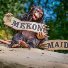 Affe mit dem Schild Mekong Maid Affe sitzt auf gekaperten Schiff, hält zerbrochenes Schild "Mekong Maiden"