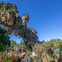 Floating Mountains vor strahlend blauem Himmel in Pandora - The World of Avatar