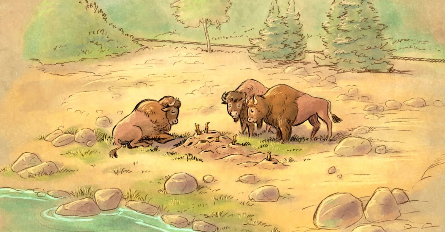 Rivers of the Far West Konzeptzeichnung Drei Bisons beobachten Erdmännchen in ihrem Bau am Ufer der Rivers of the Far West