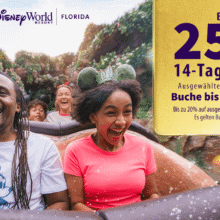 Werbegrafik für Walt Disney World Magic Tickets mit 25% Preisnachlass