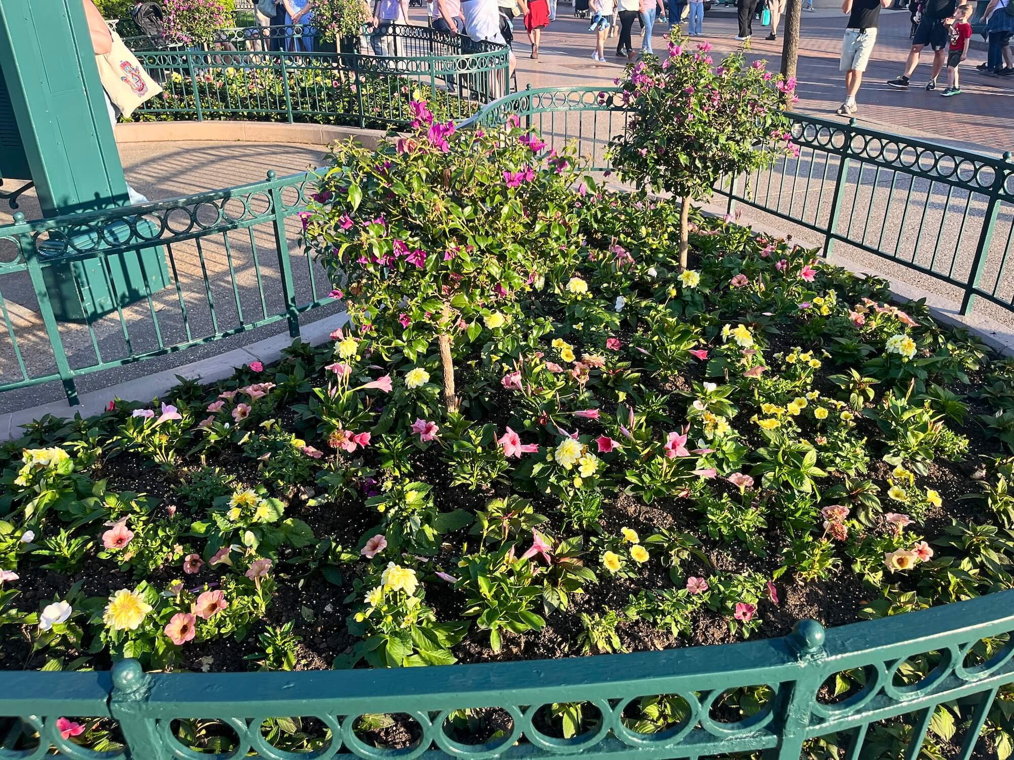 Neue Stauden und Blumen schmücken das Beet neben der Info-Tafel.