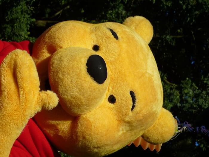 Winnie Puuh - Character Safari Teil 9 • dein-dlrp.de Disney Parks Blog